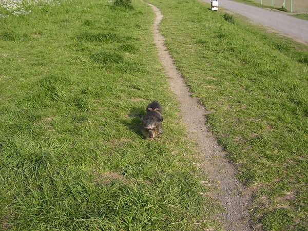 image0020