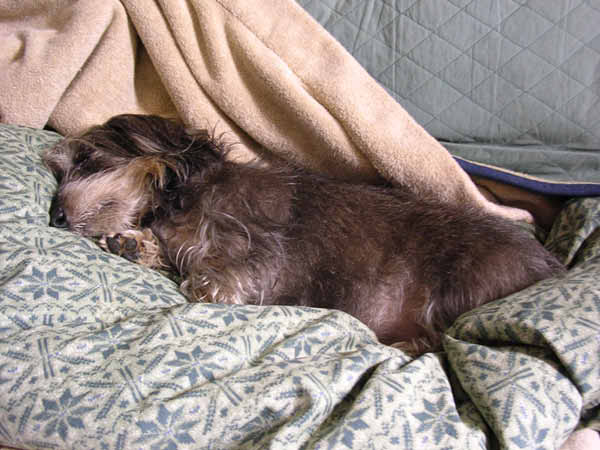 image0120