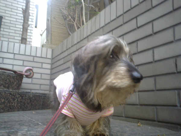 image0127