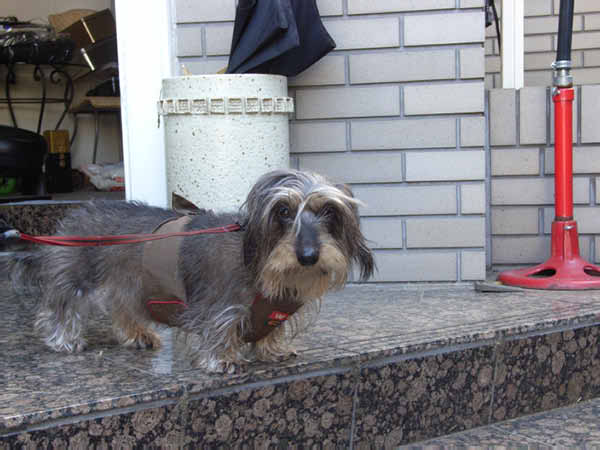 image0134