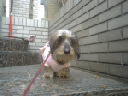 image0126