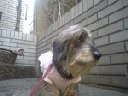 image0127