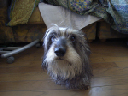 image0136